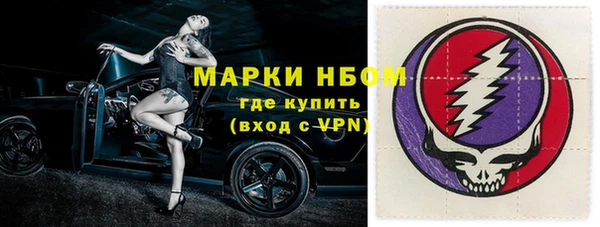 дмт Каменка