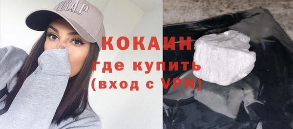 дмт Каменка