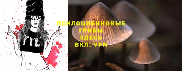 метамфетамин Каменногорск