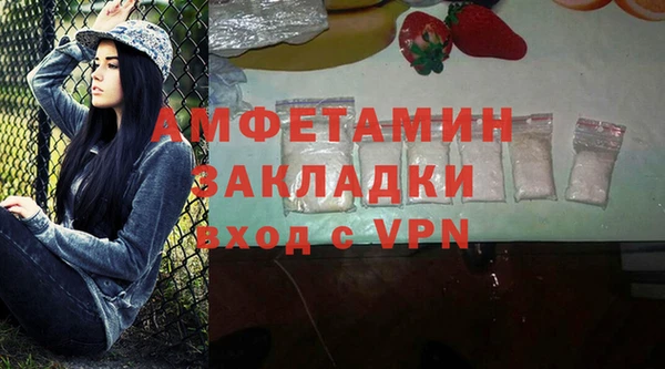 дмт Каменка