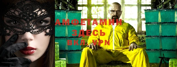 дмт Каменка