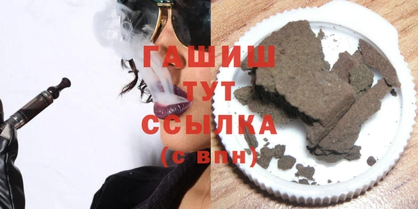 дмт Каменка