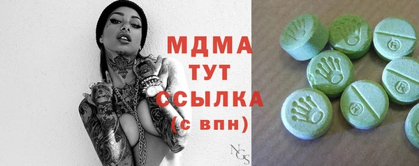 дмт Каменка
